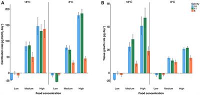 High Calcification Costs Limit Mussel Growth at Low Salinity